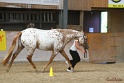 24-ApHC HIH_012